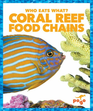 Coral Reef Food Chains - Rebecca Pettiford