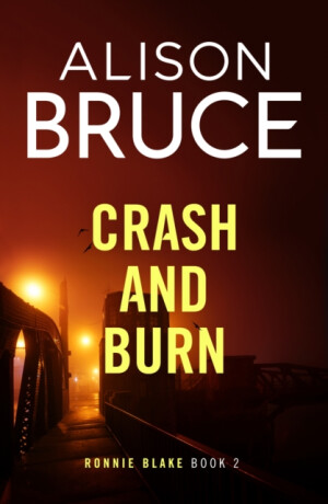 Crash and Burn - Alison Bruce