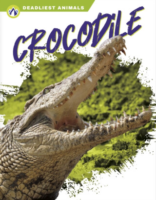 Crocodile - Golriz Golkar