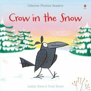 Crow in the Snow - Lesley Sims