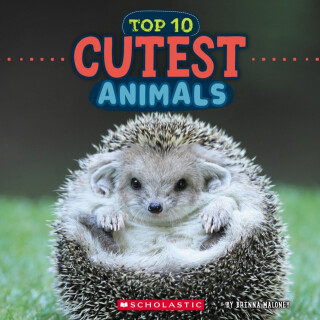 Cutest Animals (Wild World: Top 10) - 