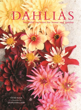 Dahlias - Georgianna Lane,Naomi Slade