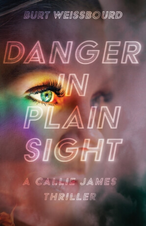Danger in Plain Sight - Burt Weissbourd