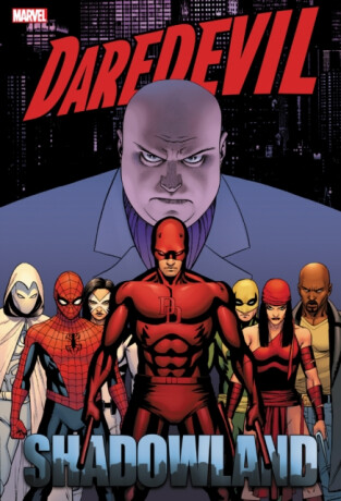 Daredevil: Shadowland Omnibus Cassaday Cover (New Printing) - Andy Diggle,Antony Johnston,Zeb Wells