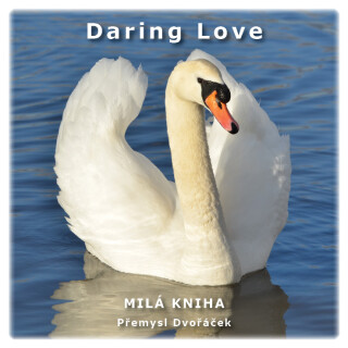 Daring Love - Přemysl Dvořáček