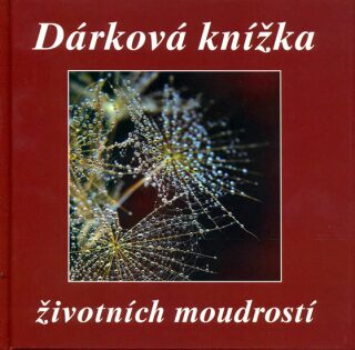 Dárková knížka životních moudrostí (Defekt) - Kolektiv autorů