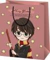 Dárková taška A5 Harry Potter - Harry - neuveden