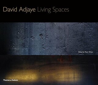 David Adjaye: Living Spaces - David Adjaye