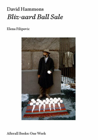 David Hammons - Elena Filipovic