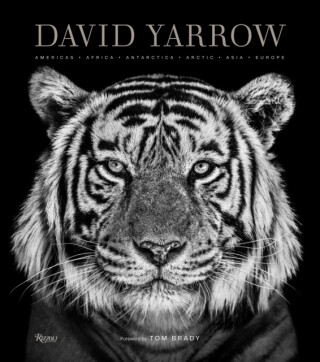David Yarrow Photography - Brady Tom,David Yarrow