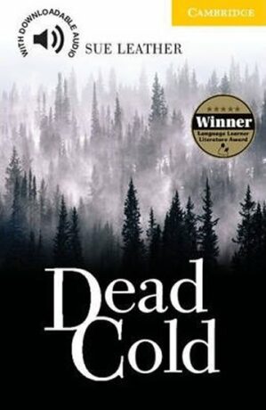 Dead Cold - Stephen Leather