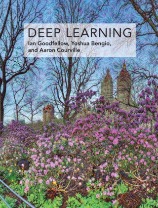 Deep Learning - Aaron  Courville,Yoshua  Bengio,Ian  Goodfellow
