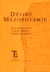 Dějiny Mezopotámie - Lukáš Pecha,Nea Nováková,Furat Rahman