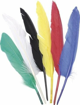 Dekorativní peří Indianske 12 ks / 15 - 22 cm - neuveden
