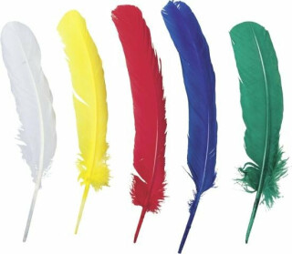 Dekorativní peří Indianske 50ks / 17-19 cm - neuveden