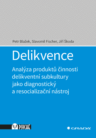Delikvence - Jiří Škoda,Slavomil Fischer,Petr Blažek