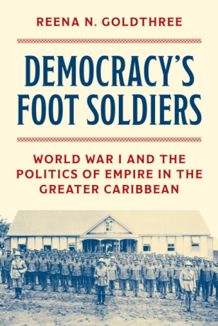 Democracyâ€™s Foot Soldiers - Reena N. Goldthree