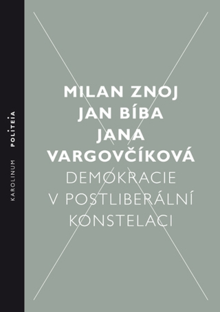 Demokracie v postliberální konstelaci - Jan Bíba,Jana Vargovčíková,Milan Znoj