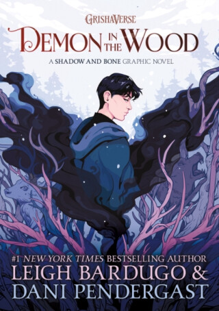 Demon in the Wood Graphic Novel - Leigh Bardugová