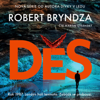 Děs - Robert Bryndza