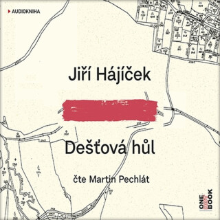 Dešťová hůl - Jiří Hájíček