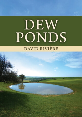 Dew Ponds - David Riviere