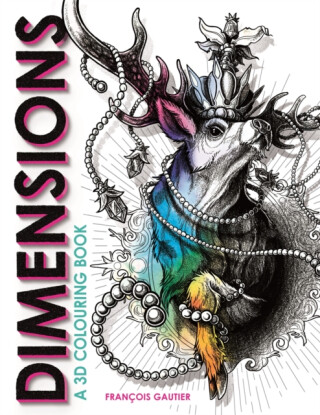 Dimensions - Francois Gautier
