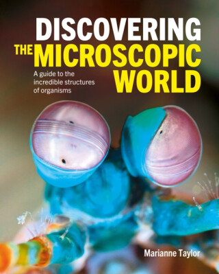 Discovering the Microscopic World - Taylor Marianne
