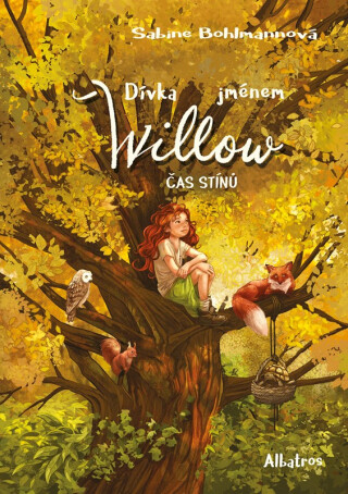 Dívka jménem Willow: Čas stínů - Sabine Bohlmannová