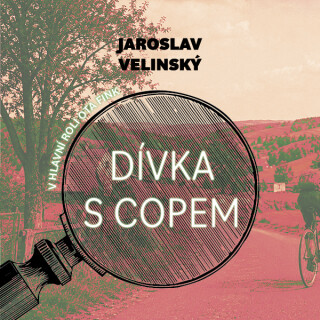 Dívka s copem - Jaroslav Velinský
