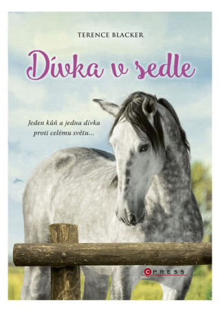 Dívka v sedle - Terence Blacker
