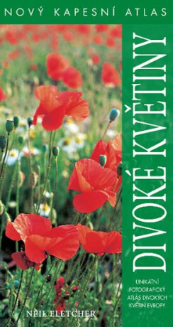 Divoké květiny - Neil Fletcher