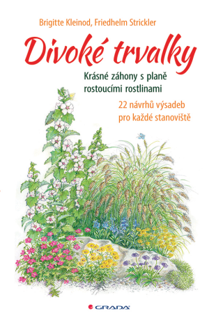 Divoké trvalky - Brigitte Kleinod,Friedhelm Strickler