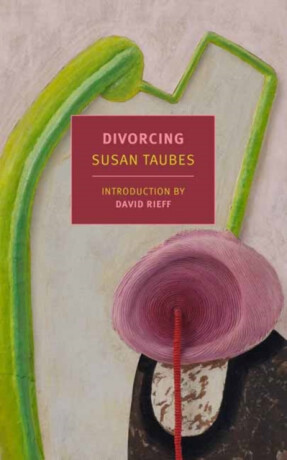 Divorcing - David Rieff,Susan Taubes