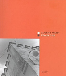 Dlažební kostky - Zdeněk Gába