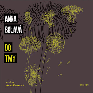 Do tmy - Bolavá Anna