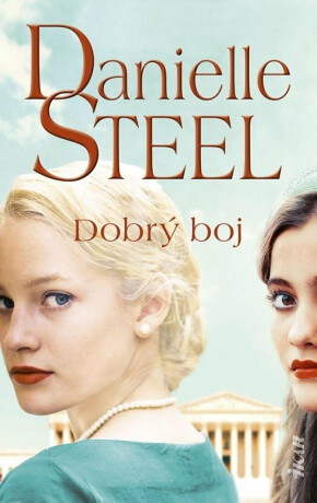 Dobrý boj (slovensky) - Danielle Steel