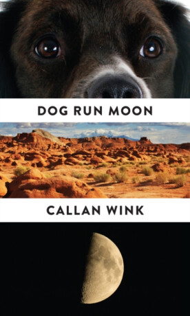 Dog Run Moon - Callan Wink