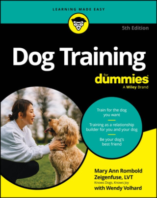 Dog Training For Dummies - Mary Ann Rombold-Zeigenfuse,Wendy Volhard