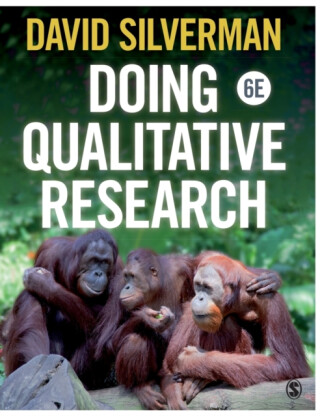 Doing Qualitative Research - David Silverman