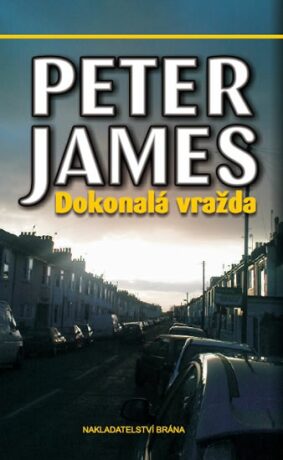Dokonalá vražda - Peter James