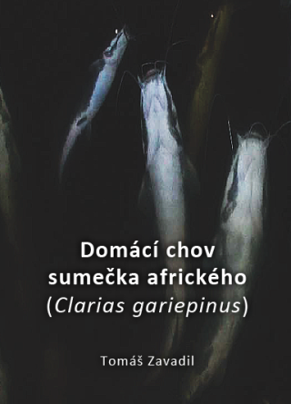 Domácí chov sumečka afrického (Clarias gariepinus) - Tomáš Zavadil