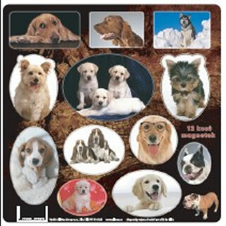 Magnetky Psi - Kol. autorů