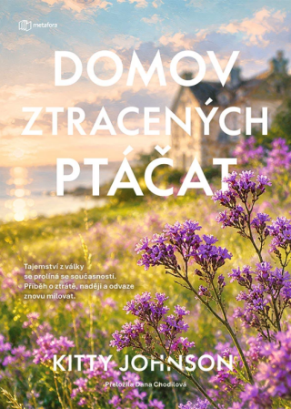 Domov ztracených ptáčat - Johnson Kitty