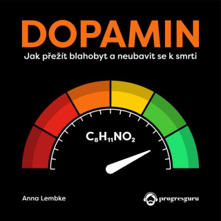 Dopamin - Anna Lembke