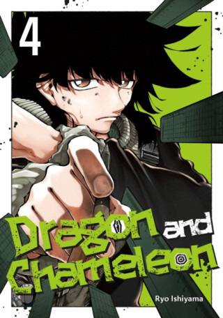 Dragon and Chameleon 04 - Ryo Ishiyama