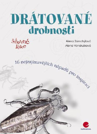 Drátované drobnosti - Alena Vondrušková,Alena Samohýlová