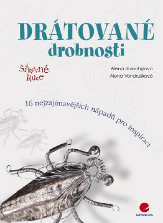 Drátované drobnosti - Alena Vondrušková,Alena Samohýlová