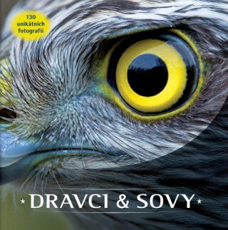 Dravci a sovy - kolektiv autorů