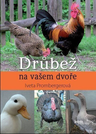 Drůbež na vašem dvoře - Iveta Prombergerová
